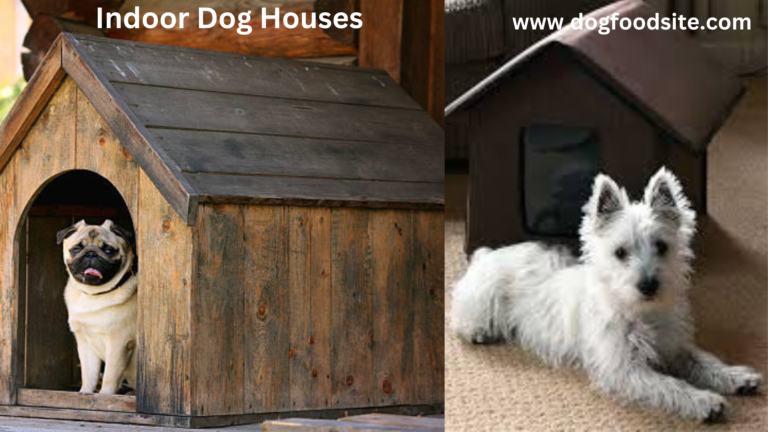 Exploring the Comfort and Charm of Indoor Dog Houses for Your Furry Friend