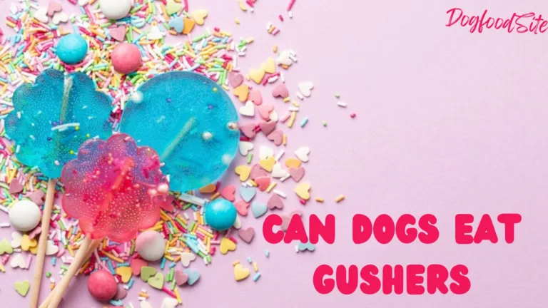 Can Dogs Eat Gushers: Unveiling the Truth About This Sugary Treat