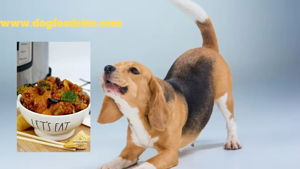 can dogs eat orange chicken