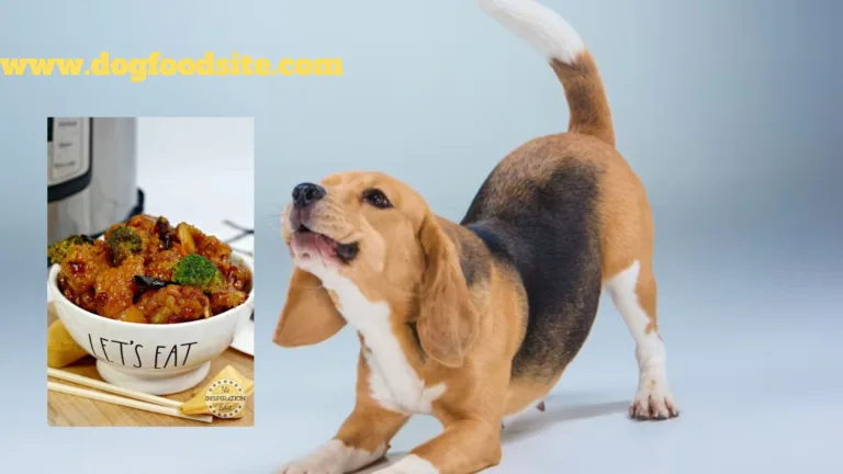can dogs eat orange chicken: Orange Chicken and Your Dog’s Diet
