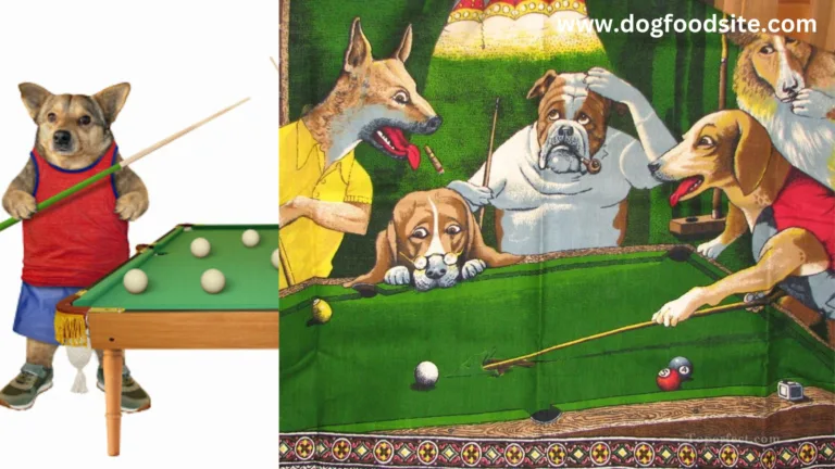 What is “Dogs Playing Pool”?