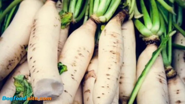 Can Dogs Eat Daikon?